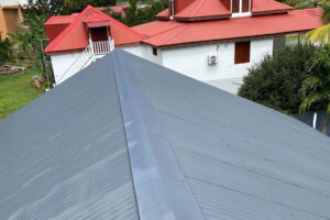 Travaux peinture toiture Île-de-la-Réunion